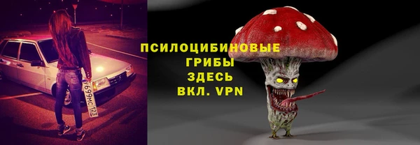 гашик Аркадак