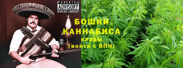 гашик Аркадак