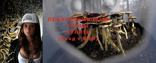 ALPHA PVP Арсеньев